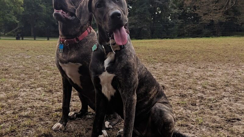 Highland Park Off Leash Exercise Area - Pittsburgh, PA