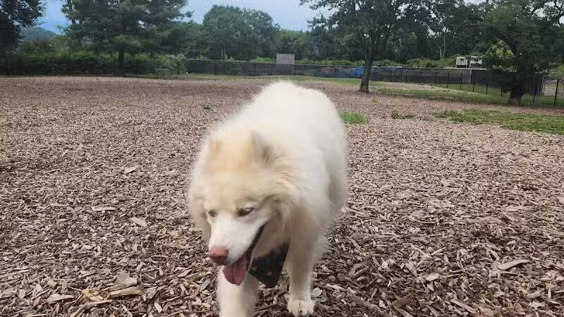 Highland Park Off Leash Exercise Area - Pittsburgh, PA