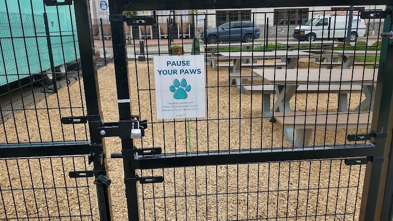 Paws Dog Park - Pittsburgh, PA
