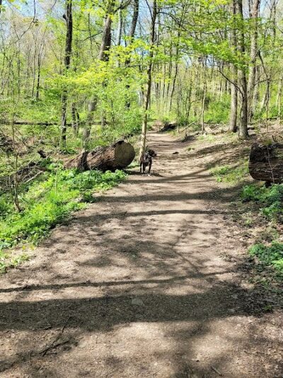 Riding Meadow Park - Pittsburgh, PA