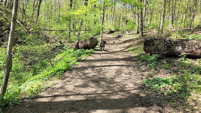 Riding Meadow Park - Pittsburgh, PA