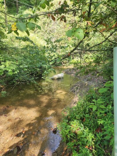 Riding Meadow Park - Pittsburgh, PA