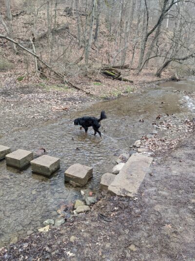 Riding Meadow Park - Pittsburgh, PA
