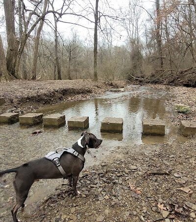 Riding Meadow Park - Pittsburgh, PA