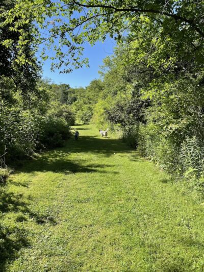 Riding Meadow Park - Pittsburgh, PA