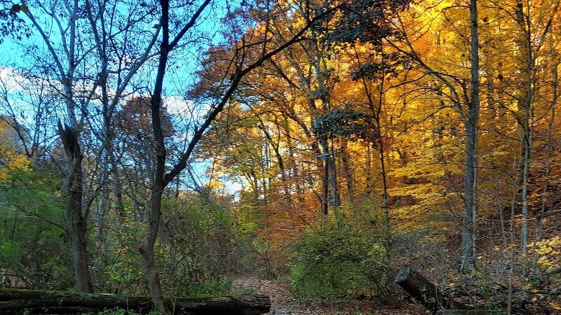 Riding Meadow Park - Pittsburgh, PA