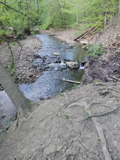 Riding Meadow Park - Pittsburgh, PA