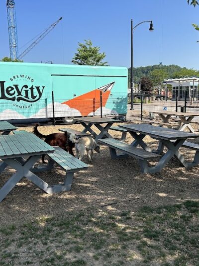 Southside Works Dog Park - Pittsburgh, PA