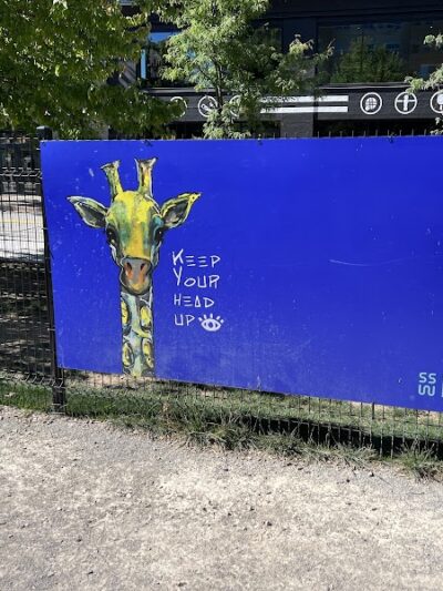 Southside Works Dog Park - Pittsburgh, PA