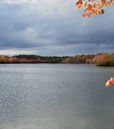 Plainsboro Community Park - Plainsboro Township, NJ