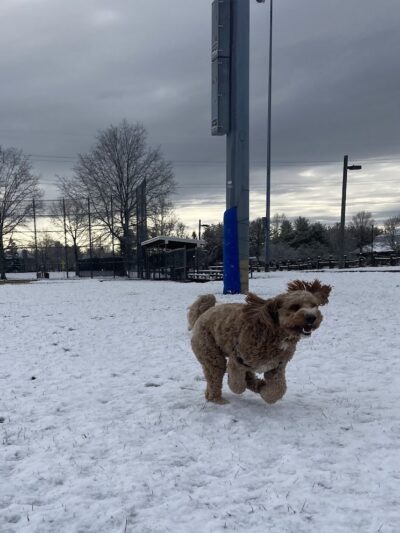 Plainsboro Community Park - Plainsboro Township, NJ