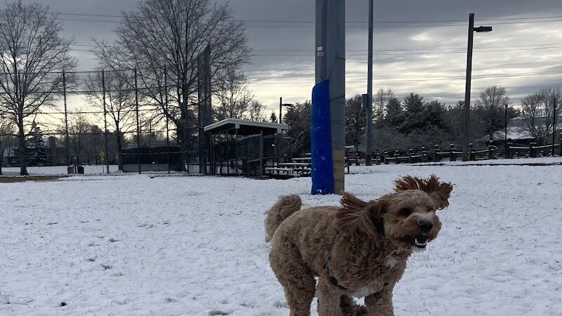 Plainsboro Community Park - Plainsboro Township, NJ
