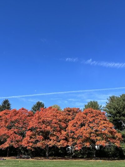 Plainsboro Park - Plainsboro Township, NJ