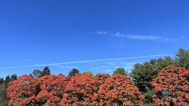 Plainsboro Park - Plainsboro Township, NJ