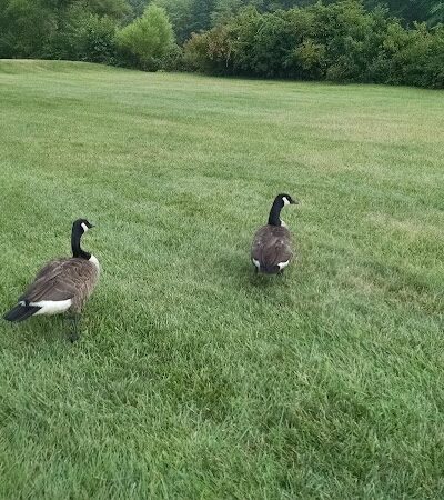 Plainsboro Park - Plainsboro Township, NJ