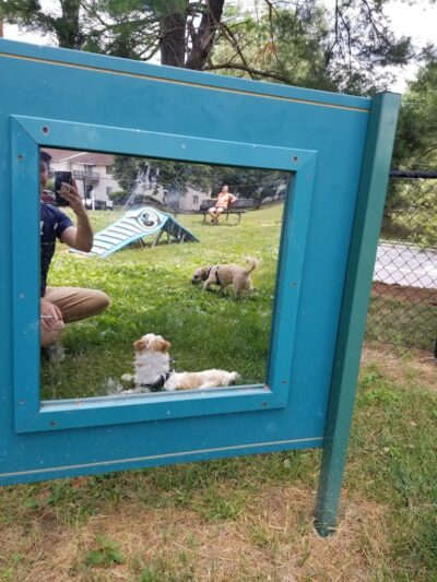 Quail Ridge Dog Park - Plainsboro Township, NJ