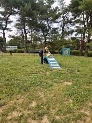 Quail Ridge Dog Park - Plainsboro Township, NJ