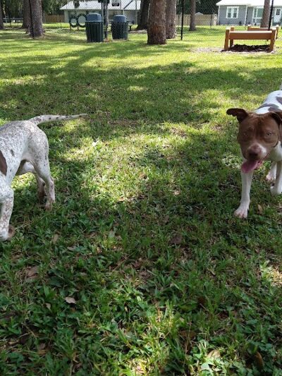 Plant City Dog Park - Plant City, FL