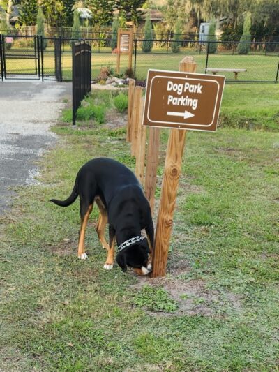 Ruff Ridge Dog Park - Plant City, FL