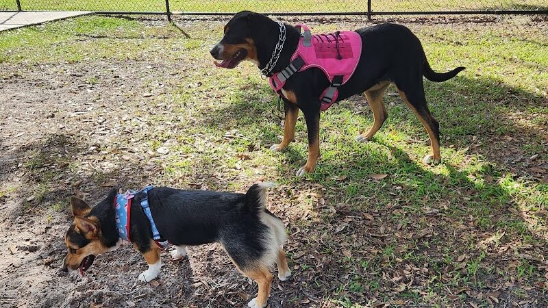 Ruff Ridge Dog Park - Plant City, FL