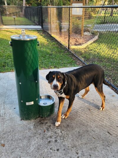 Ruff Ridge Dog Park - Plant City, FL