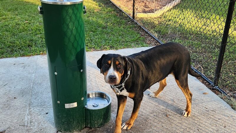 Ruff Ridge Dog Park - Plant City, FL