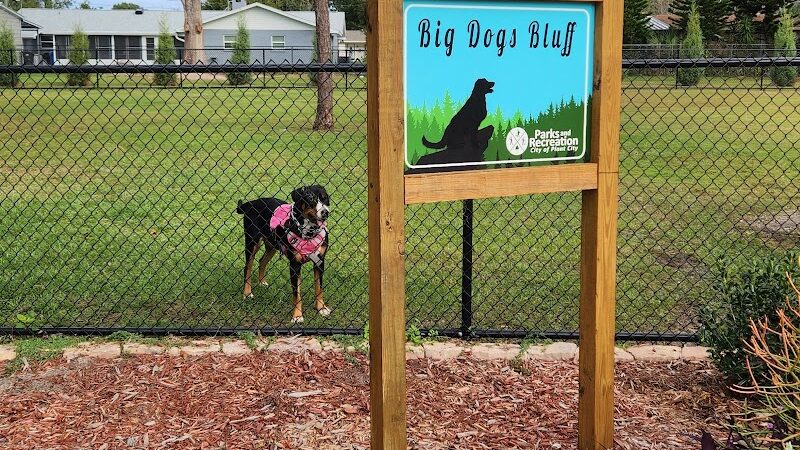 Ruff Ridge Dog Park - Plant City, FL