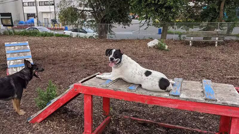 Pleasantville Dog Park - Pleasantville, NY