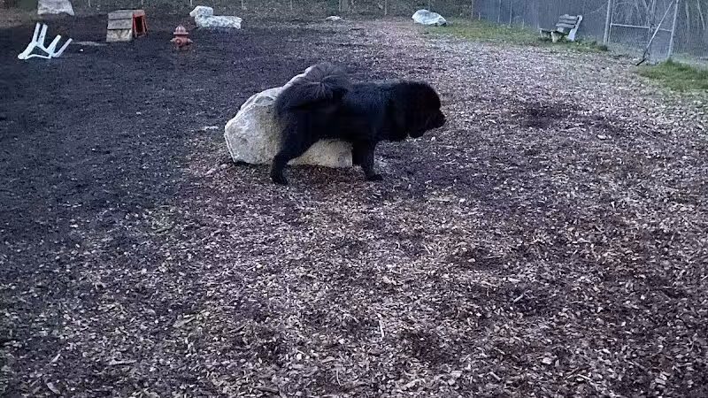 Pleasantville Dog Park - Pleasantville, NY