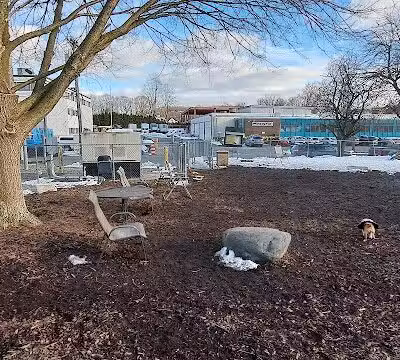 Pleasantville Dog Park - Pleasantville, NY