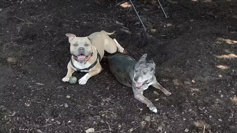 Pleasantville Dog Park - Pleasantville, NY