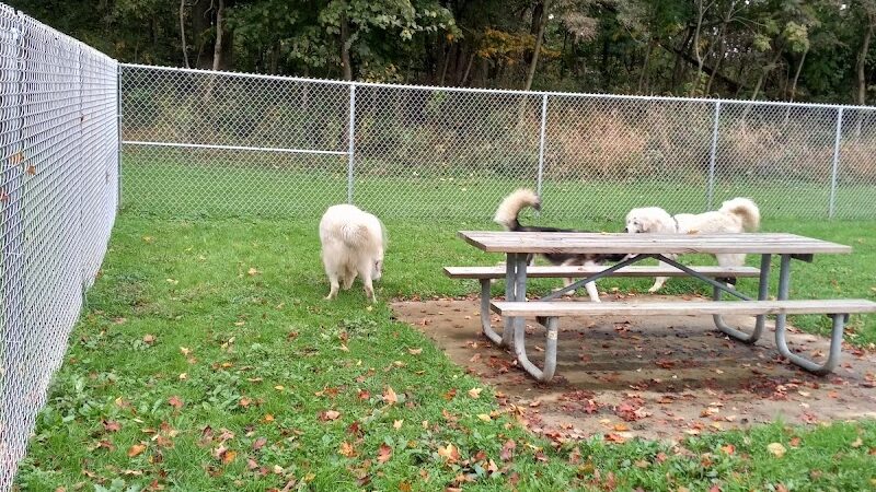 Boyce Park Dog Park 1 - Plum, PA