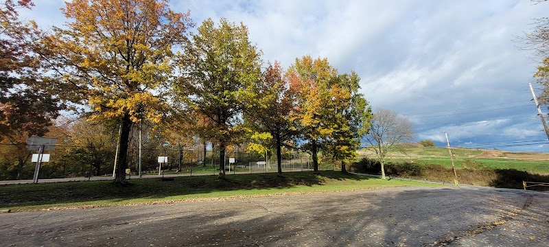 Boyce Park Dog Park 1 - Plum, PA