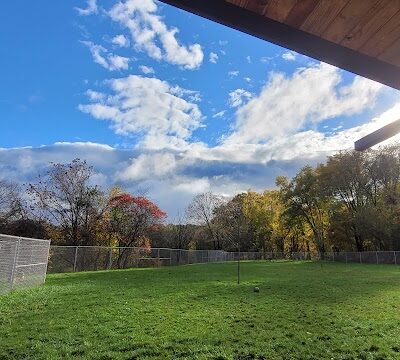 Boyce Park Dog Park 1 - Plum, PA