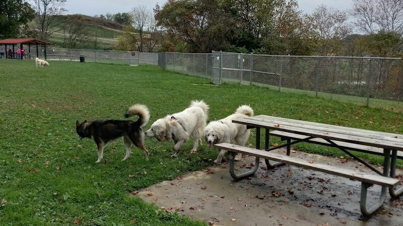 Boyce Park Dog Park 1 - Plum, PA