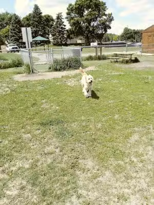 4 Paws Dog Park - Plymouth, MN