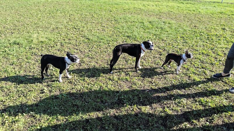 4 Paws Dog Park - Plymouth, MN