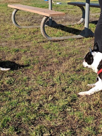 4 Paws Dog Park - Plymouth, MN