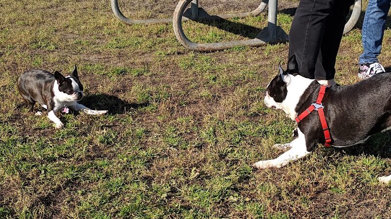4 Paws Dog Park - Plymouth, MN