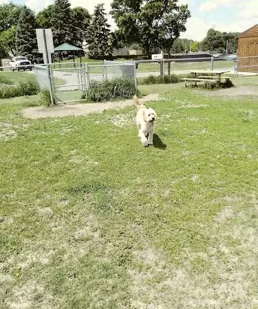 4 Paws Dog Park - Plymouth, MN