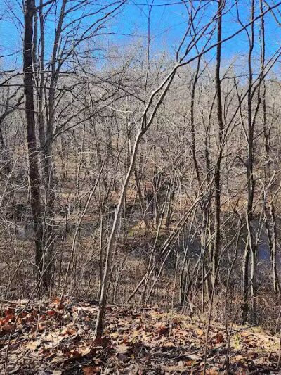 Airline Trail Parking - Pomfret Center, CT