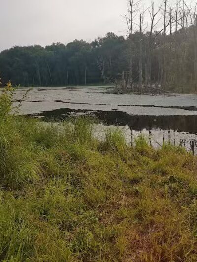 Airline Trail Parking - Pomfret Center, CT