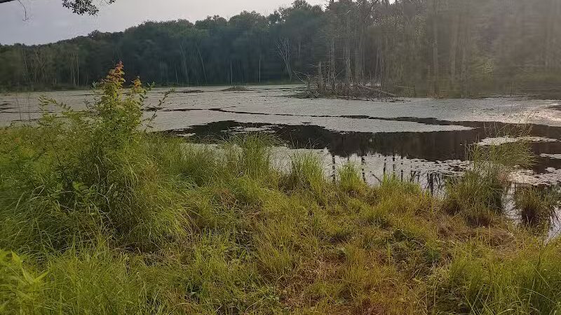 Airline Trail Parking - Pomfret Center, CT