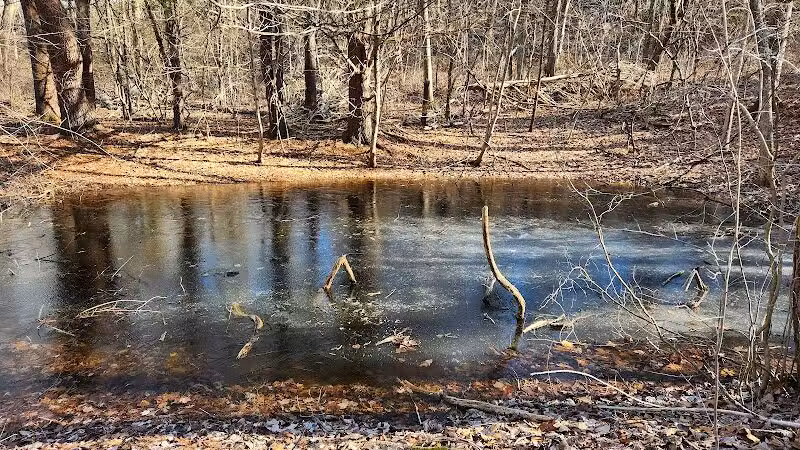 Airline Trail Parking - Pomfret Center, CT