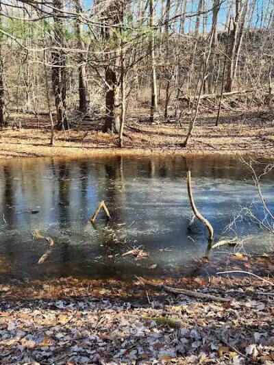 Airline Trail Parking - Pomfret Center, CT