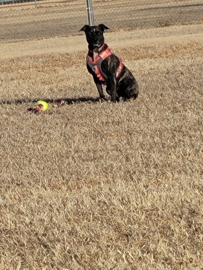 Dog Walk Park - Ponca City, OK