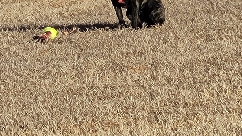 Dog Walk Park - Ponca City, OK