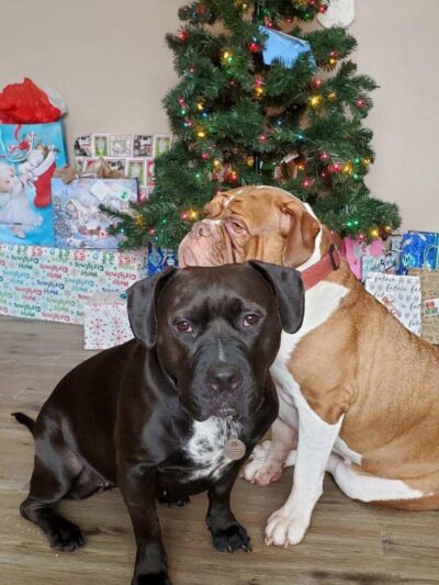 Dog Walk Park - Ponca City, OK