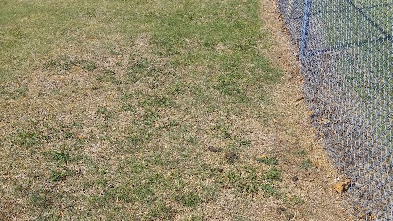 Dog Walk Park - Ponca City, OK