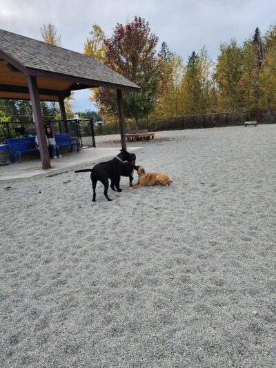 Ponderay Pet Safe Dog Park